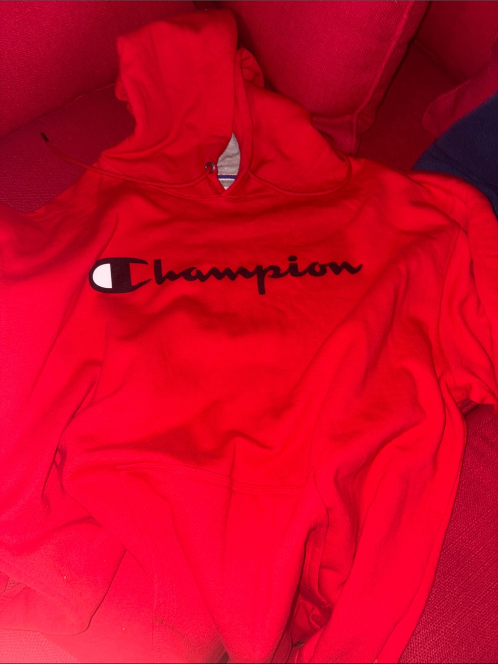 champion hoodie nwot I
